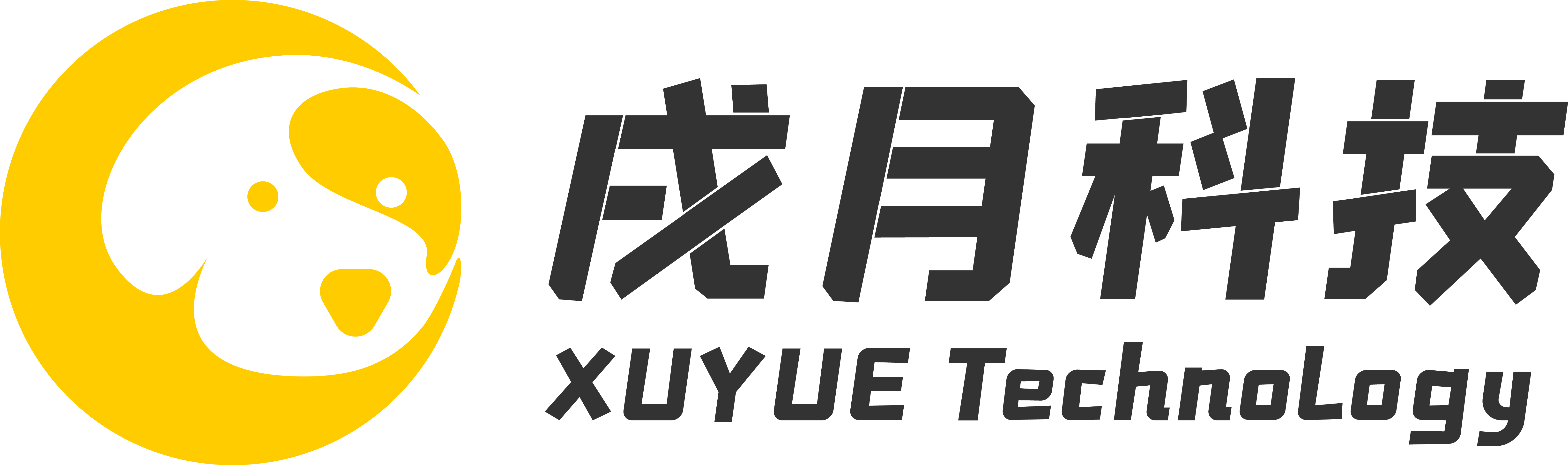上海戌月科技服务有限公司